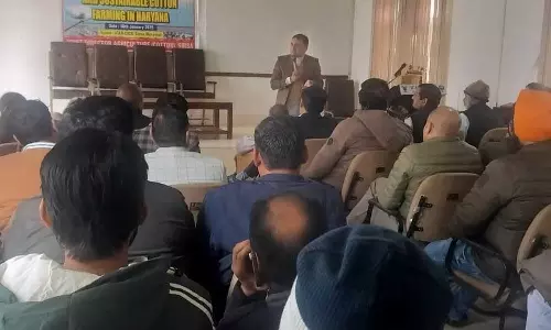 Haryana :   सिरसा में जैविक कपास की खेती पर कार्यशाला आयोजित