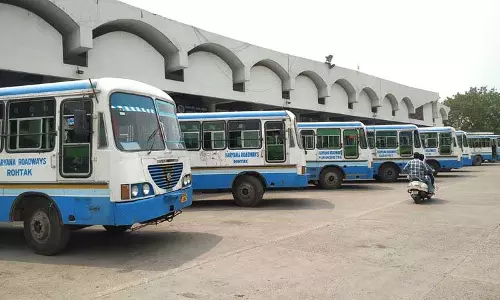 Haryana :  800 बस कंडक्टरों के अनुभव प्रमाण पत्रों की जांच