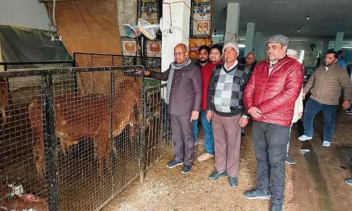 Haryana गौ सेवा आयोग के अध्यक्ष ने अंबाला में गौशालाओं का निरीक्षण किया