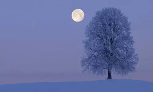 इस सप्ताह Wolf Moon को मंगल ग्रह को निगलते हुए कैसे देखें? इस सप्ताह Wolf Moon को मंगल ग्रह को निगलते हुए कैसे देखें?