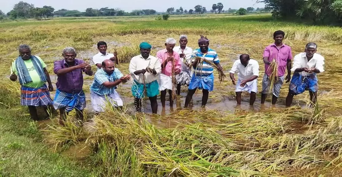 Odisha: ओडिशा के 71 वर्षीय किसान की सदमे से मौत