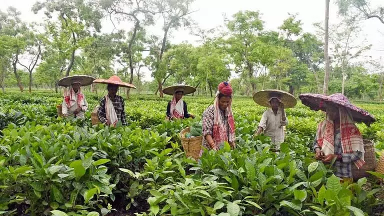 Assam : कल्याणकारी योजनाओं की समीक्षा के लिए बैठक आयोजित की गई