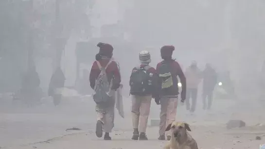 Weather: राजस्थान के कई इलाकों में घना कोहरा तो कही बूंदाबांदी