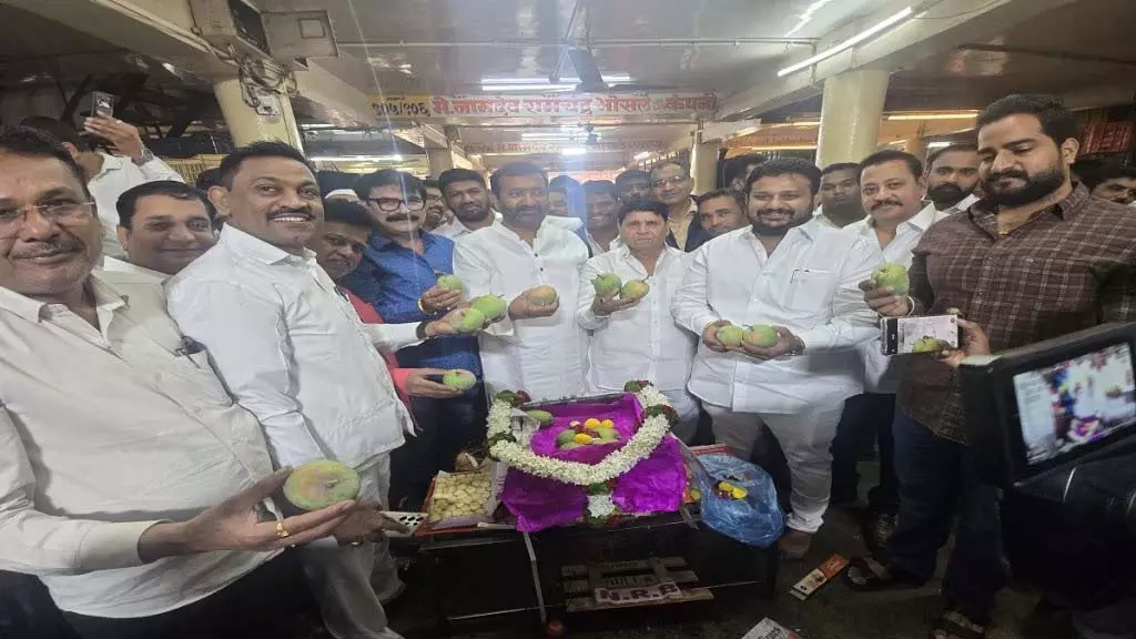 पुणे: हापुस सीजन में देरी, प्री-सीजन हापुस का पहला बॉक्स मार्केट यार्ड पुणे: हापुस सीजन में देरी, प्री-सीजन हापुस का पहला बॉक्स मार्केट यार्ड