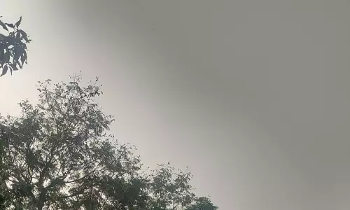 रायपुर में बदली, सरगुजा और बिलासपुर संभाग में बारिश की संभावना