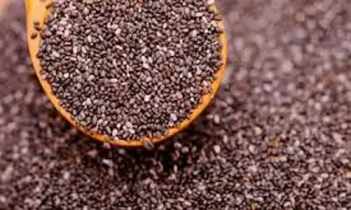 Health: सुबह खाली पेट कलौंजी का ये पानी पीने से तेजी से घटता है वजन और मिलते हैं ये स्वास्थ्य लाभ Health: सुबह खाली पेट कलौंजी का ये पानी पीने से तेजी से घटता है वजन और मिलते हैं ये स्वास्थ्य लाभ