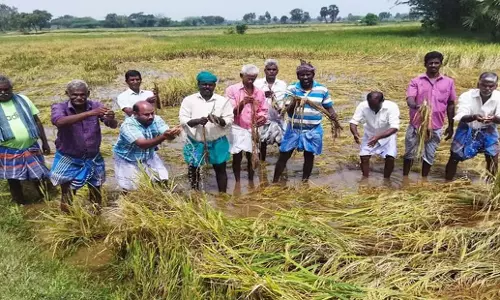 Odisha: ओडिशा के 71 वर्षीय किसान की सदमे से मौत Odisha: ओडिशा के 71 वर्षीय किसान की सदमे से मौत