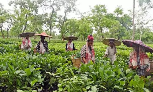Assam : कल्याणकारी योजनाओं की समीक्षा के लिए बैठक आयोजित की गई