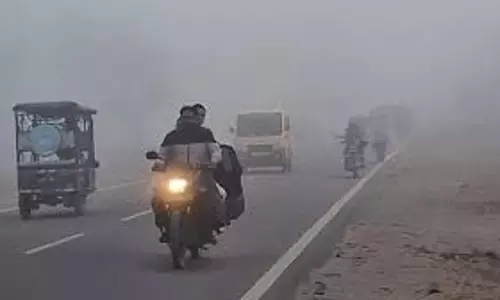 Weather: शहडोल में फिर बदला मौसम, सुबह से छाया घना कोहरा Weather: शहडोल में फिर बदला मौसम, सुबह से छाया घना कोहरा