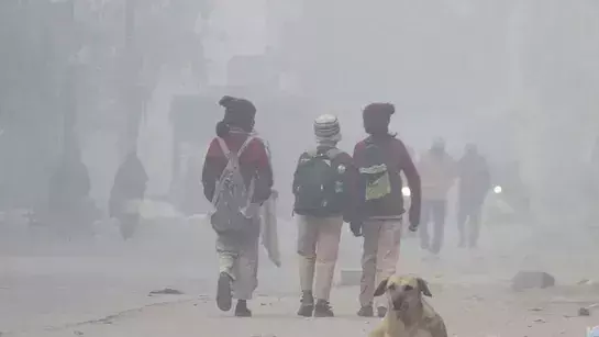 Weather: राजस्थान के कई इलाकों में घना कोहरा तो कही बूंदाबांदी