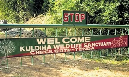 Kuldiha वन्यजीव अभयारण्य में अवैध ईंट भट्टों की जांच की जाएगी Kuldiha वन्यजीव अभयारण्य में अवैध ईंट भट्टों की जांच की जाएगी