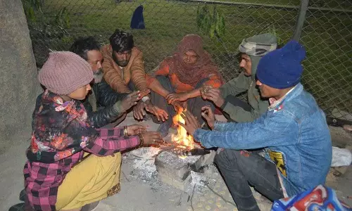 Haryana :  बारिश से गेहूं की फसल को राहत, राज्य में शीतलहर का प्रकोप