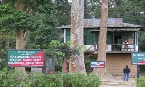 Assam: गिब्बन वन्यजीव अभयारण्य में वेदांता के तेल अन्वेषण को मंजूरी दी