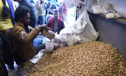 Lohri की तैयारियों में चहल-पहल, गज्जक, मूंगफली, भुग्गा की बिक्री गरमागरम Lohri की तैयारियों में चहल-पहल, गज्जक, मूंगफली, भुग्गा की बिक्री गरमागरम