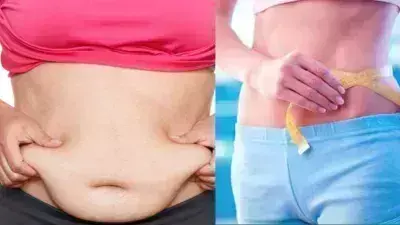 Lifestyle: महिलाओं के शरीर में जमे हुए फैट के लिए बेस्ट है यह डाइट प्लान Lifestyle: महिलाओं के शरीर में जमे हुए फैट के लिए बेस्ट है यह डाइट प्लान