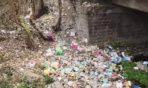 Himachal: अवैध डंपिंग से पपरोला की नदियां प्रदूषित, निवासियों ने की कार्रवाई की मांग