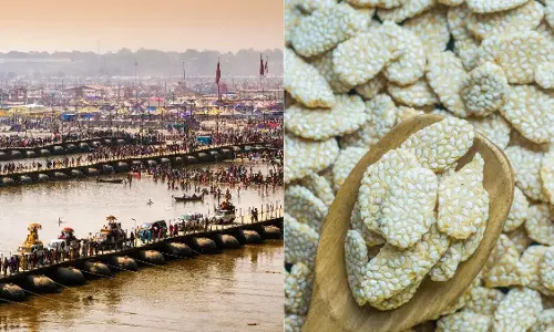 Maha Kumbh: कुंभ मेले के दौरान आज़माने के लिए 5 प्रसिद्ध शीतकालीन खाद्य पदार्थ