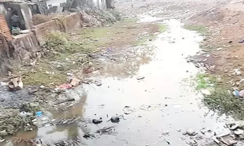GOA: प्लास्टिक की थैलियां-बोतलें, मानव मलमूत्र से कभी खूबसूरत कुंचेलिम नदी अवरुद्ध