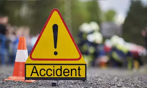 Odisha: निमापारा में सड़क दुर्घटना में दुर्लभ शहद बेजर की मौत
