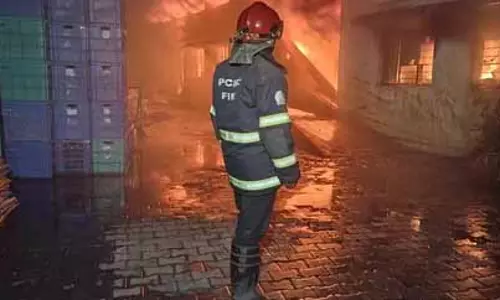 Pune: प्लास्टिक मोल्डिंग फैक्ट्री में लगी भीषण आग, कोई हताहत नहीं