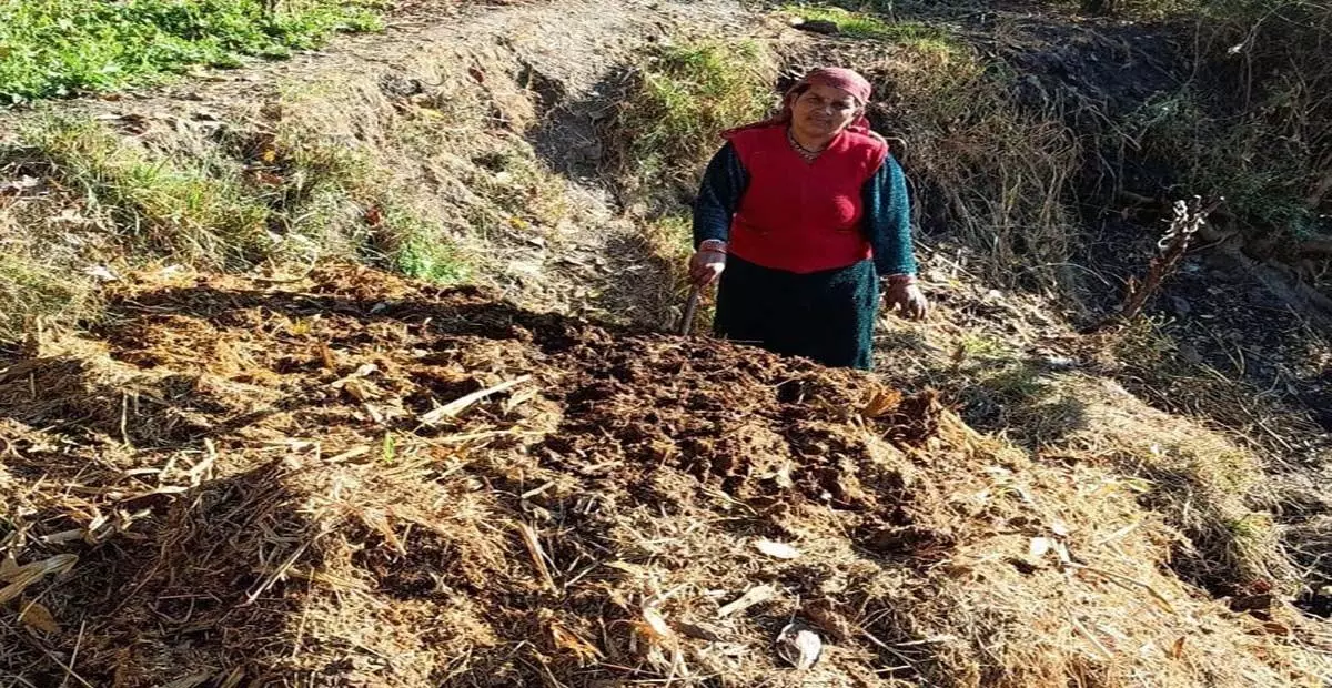 Himachal: सरकार ने किसानों से 3 रुपए प्रति किलो की दर से गोबर खरीदना शुरू किया