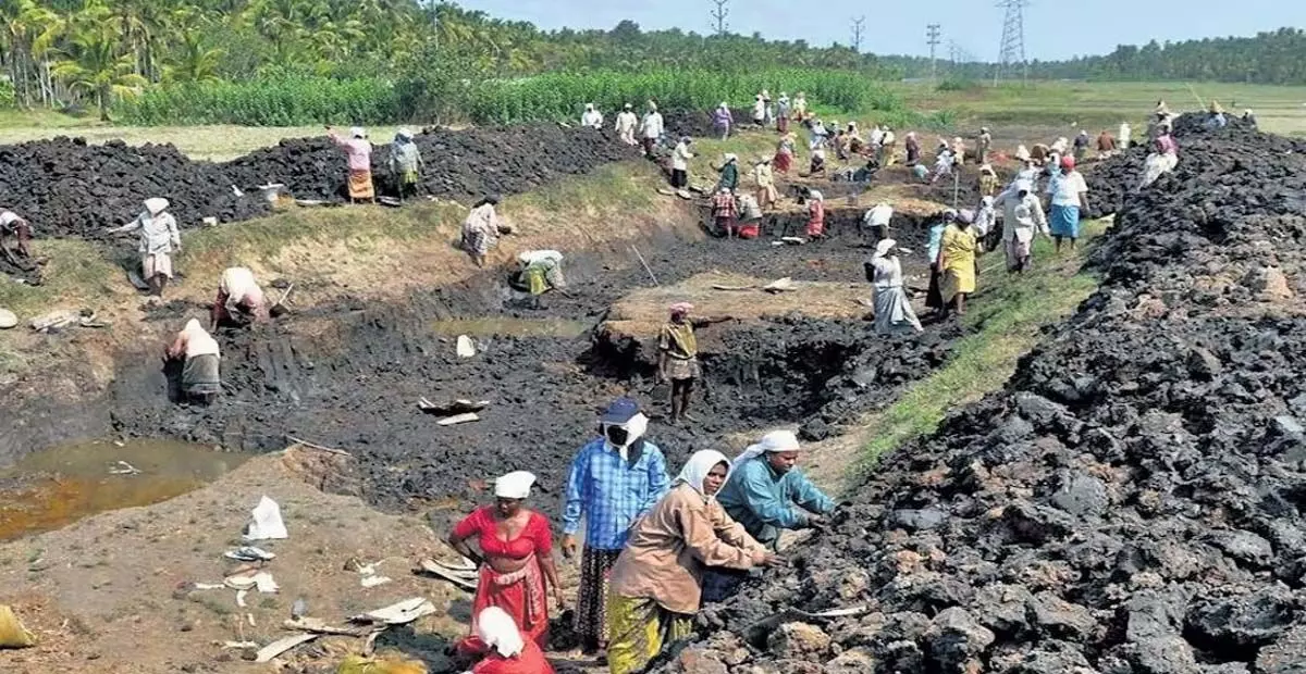 Telangana: केवल 10 लाख मनरेगा जॉब कार्ड धारक