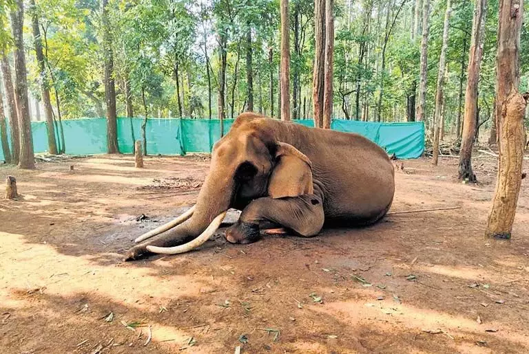 Odisha: माओवादियों की गोलियों से बचे सिमिलिपाल के पराक्रमी महेंद्र का 66 साल की उम्र में निधन