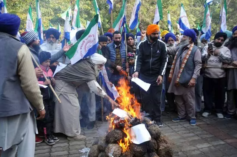 Jalandhar: किसान यूनियनों ने नई कृषि विपणन नीति की मसौदा प्रतियां जलाईं