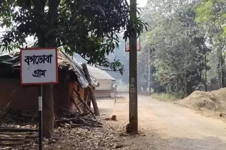 पैरों के निशान से Bengal में बाघ के प्रवेश की पुष्टि, बाघिन जीनत के मार्ग का पता चला