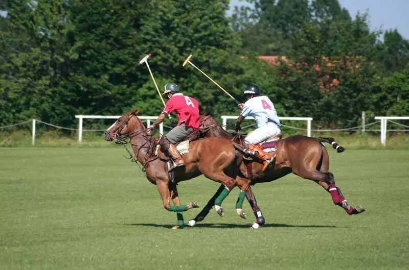 City Polo Club ने माघी मेले में मैत्रीपूर्ण श्रृंखला जीती