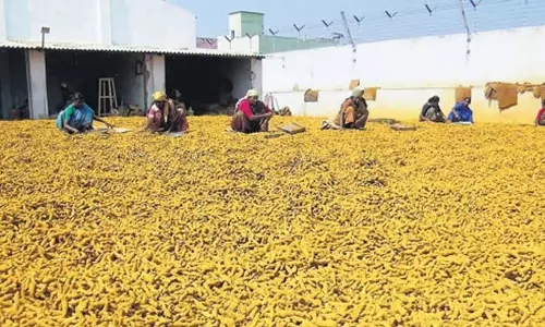 Nizamabad में राष्ट्रीय हल्दी बोर्ड वास्तविकता बन गया
