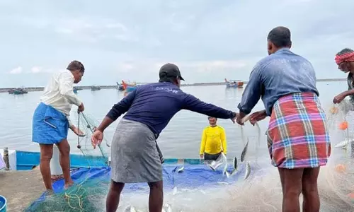 Andhra: प्रकाशम में मत्स्य पालन क्षेत्र को बढ़ावा