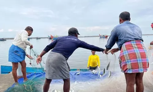 Andhra: प्रकाशम में मत्स्य पालन क्षेत्र को बढ़ावा