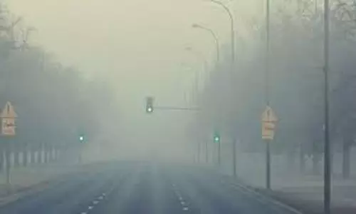 Punjab:  अभी और बढ़ेगी ठंड, मौसम विभाग ने जारी की नई चेतावनी