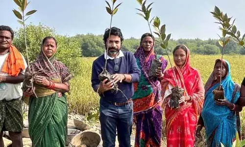 मैंग्रोव की रक्षा के लिए ओडिया वैज्ञानिक का एआई हस्तक्षेप मैंग्रोव की रक्षा के लिए ओडिया वैज्ञानिक का एआई हस्तक्षेप