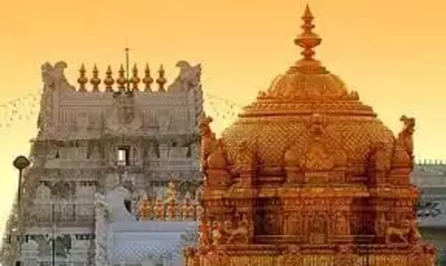Stampede: टीटीडी नेतृत्व ने कुप्रबंधन के आरोपों का खंडन किया Stampede: टीटीडी नेतृत्व ने कुप्रबंधन के आरोपों का खंडन किया