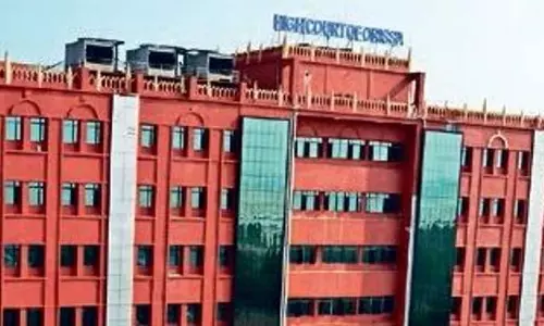 Orissa HC: कोणार्क सूर्य मंदिर में काम करने के लिए फोटोग्राफरों को एएसआई लाइसेंस लेना चाहिए