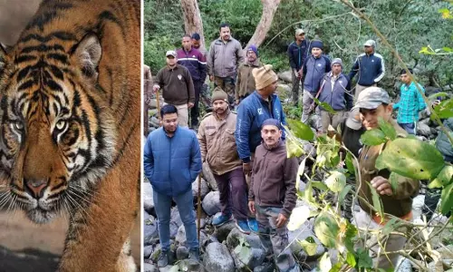 Ramnagar: बाघ को न पकड़ने पर उग्र आंदोलन की चेतावनी दी Ramnagar: बाघ को न पकड़ने पर उग्र आंदोलन की चेतावनी दी