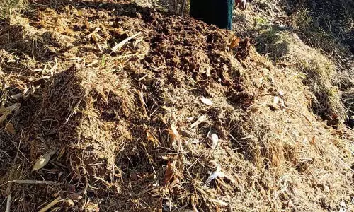 Himachal: सरकार ने किसानों से 3 रुपए प्रति किलो की दर से गोबर खरीदना शुरू Himachal: सरकार ने किसानों से 3 रुपए प्रति किलो की दर से गोबर खरीदना शुरू