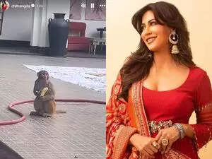 Chitrangada Singh ने सेट पर नए लंच गेस्ट की झलक दिखाई