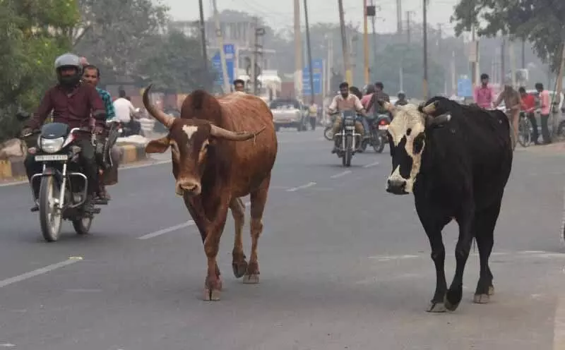 पर्याप्त धन न होने के कारण पठानकोट MC ने राजस्व बढ़ाने की मांग की