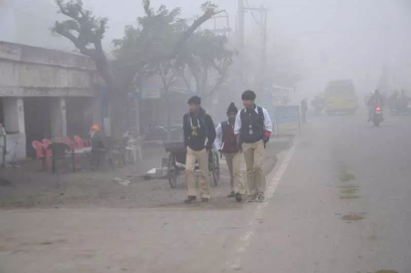 Punjab , हरियाणा में ठंड का प्रकोप जारी