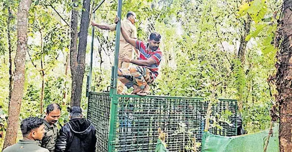 खोलीं। उसकी पत्नी सुधा ने कहा, उसने मेरी तरफ देखा, वह अभी भी सदमे में थी।