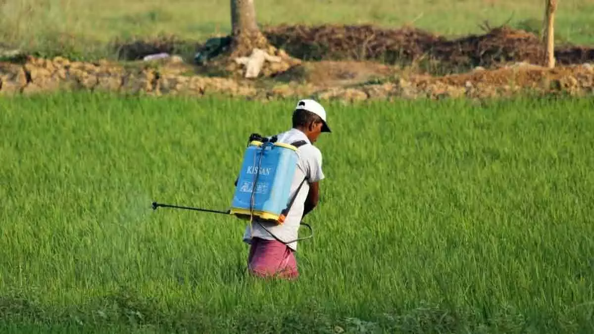 मृत ऋणधारकों के परिजनों और छोटे किसानों के लिए OTS योजना लाएं बैंक