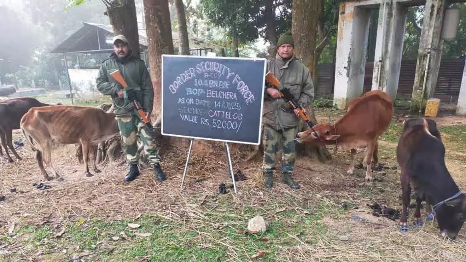 Tripura बीएसएफ ने भारत-बांग्लादेश सीमा पर 22 लाख रुपये मूल्य का प्रतिबंधित सामान जब्त