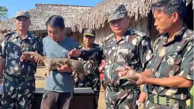 Arunachal: पैंगोलिन को बचाया, पैंगोपप डी. एरिंग डब्ल्यूएलएस में छोड़ा