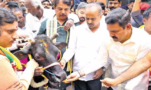 Karnataka: गाय काटने की घटना के बाद भाजपा ने कांग्रेस पर तुष्टिकरण की राजनीति करने का आरोप लगाया