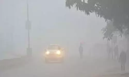 Bihar Weather: शीतलहर का कहर, कई जिलों में अलर्ट जारी