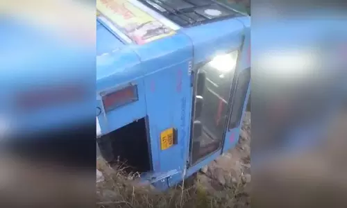 बस दुर्घटना में 7 लोग घायल