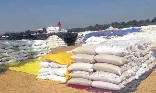 Odisha: केंद्रपाड़ा के किसानों को संकट में डाल रही बिक्री, स्टॉक का ढेर लगा